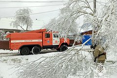 Снегопад обрушил деревья на машины в российском городе