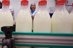 Вывоз российской молочной продукции заметно вырос