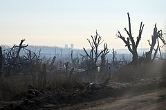 ВСУ перебросили под Красноармейск элитный спецбатальон