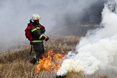 Жителей Подмосковья предупредили о начале пожароопасного сезона