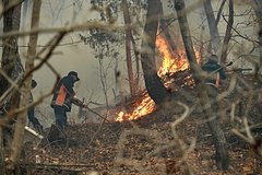 Российским туристам указали на опасность поездок в охваченные пожарами районы Южной Кореи