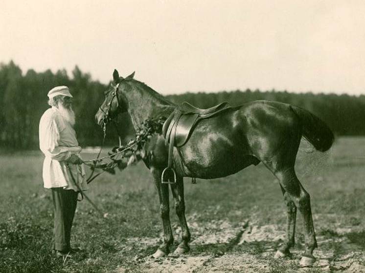 Лев Толстой на краю земли: фотоальбом классика представили в Новой Зеландии