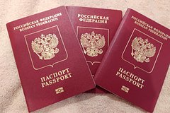 Число получивших гражданство РФ в диппредставительствах раскрыли