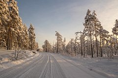 Шесть человек пострадали в ДТП с туристическим автобусом в Карелии