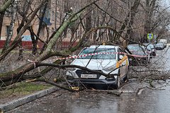 Московским водителям напомнили о мерах безопасности во время шторма