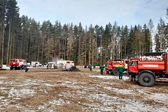 Глава Подмосковья Андрей Воробьев объявил о начале пожароопасного сезона в регионе